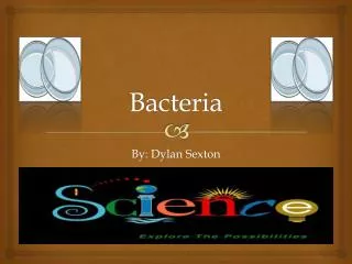 Bacteria