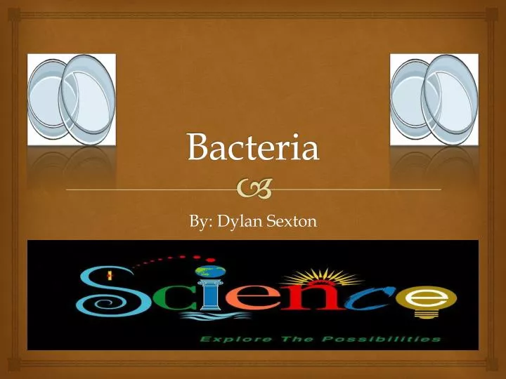 PPT - Bacteria PowerPoint Presentation, Free Download - ID:2082063