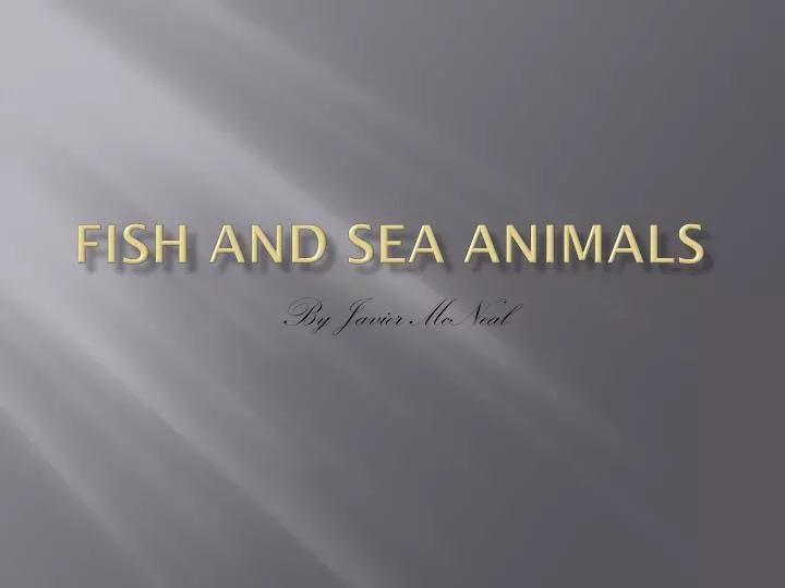fish and sea animals