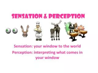 Sensation &amp; Perception