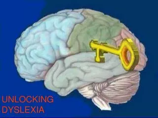 UNLOCKING DYSLEXIA