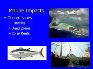 Marine Impacts