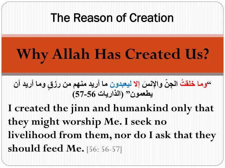 the reason of creation