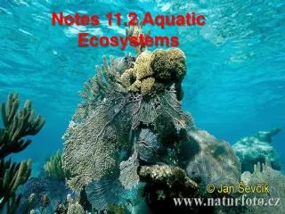 Notes 11.2 Aquatic Ecosystems