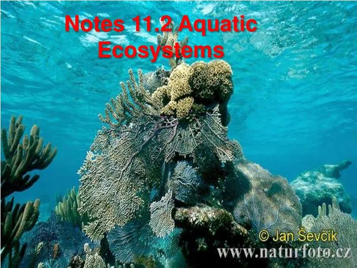 notes 11 2 aquatic ecosystems