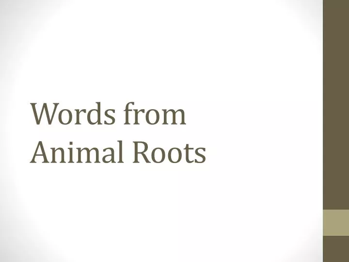 words from animal roots
