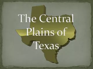 The Central Plains of Texas