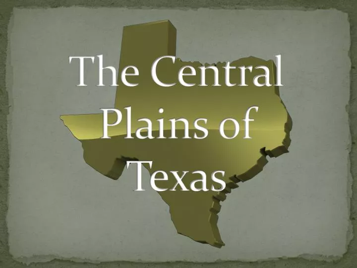 the central plains of texas