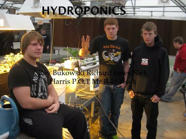 hydroponics