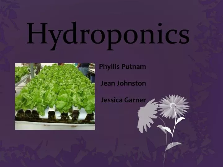 hydroponics