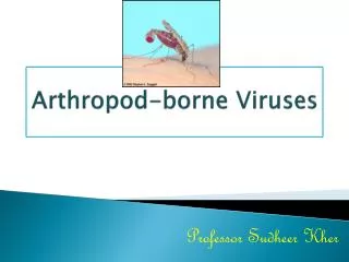 Arthropod-borne Viruses