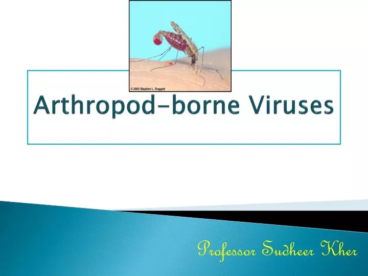 arthropod borne viruses