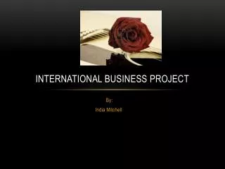 International Business Project