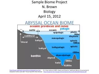 Sample Biome Project N. Brown Biology April 15, 2012