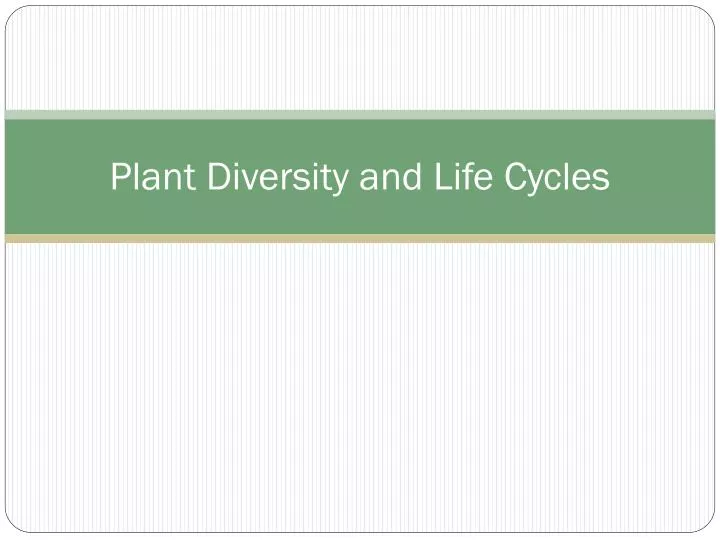 plant diversity and life cycles