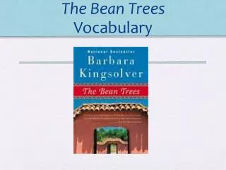 The Bean Trees Vocabulary