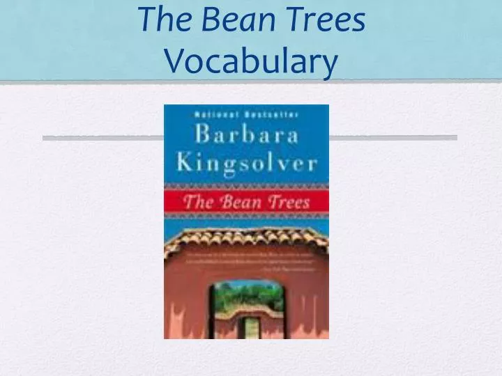 the bean trees vocabulary