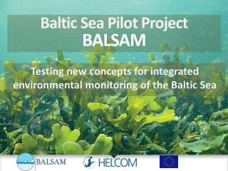 Baltic Sea Pilot Project BALSAM