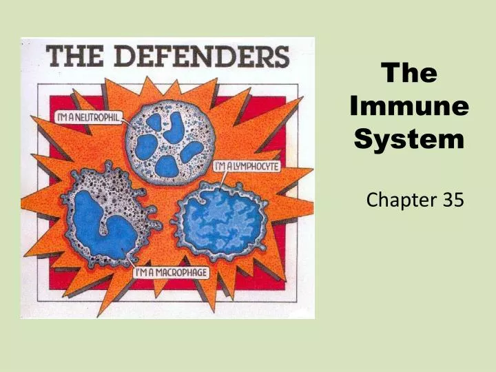 the immune system