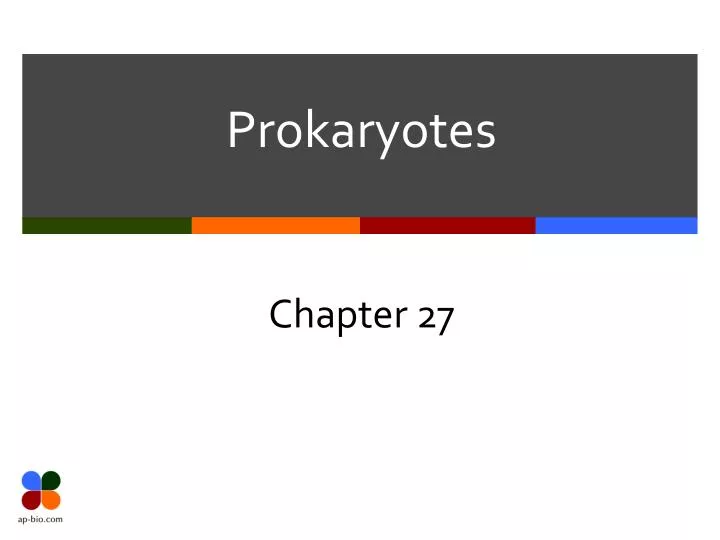 prokaryotes