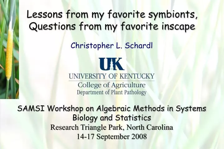 lessons from my favorite symbionts questions from my favorite inscape