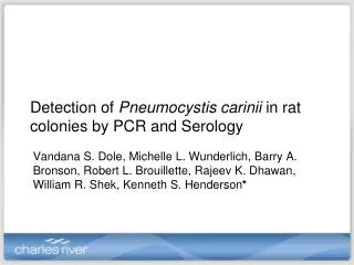 Detection of Pneumocystis carinii in rat colonies by PCR and Serology