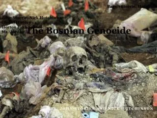 The Bosnian Genocide