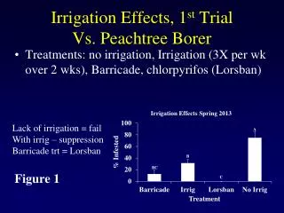 Irrigation Effects, 1 st Trial Vs. Peachtree Borer
