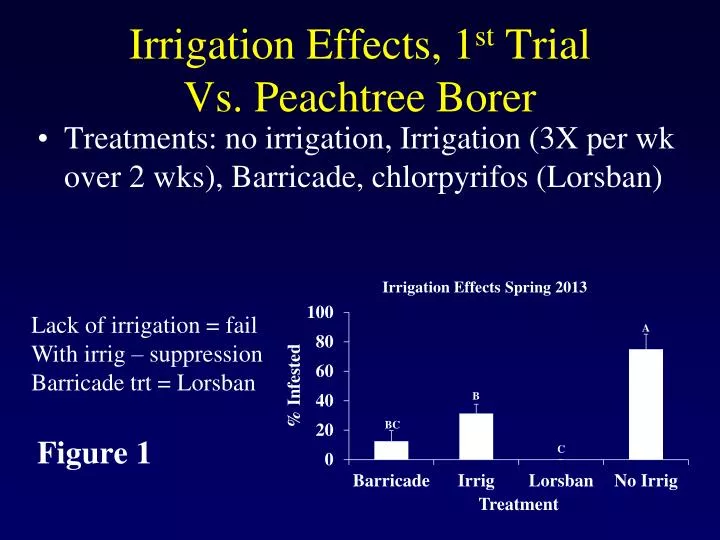 irrigation effects 1 st trial vs peachtree borer