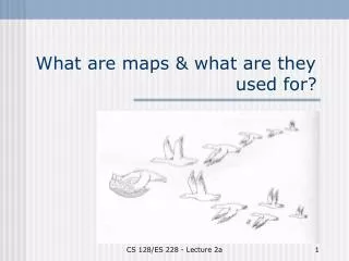 What are maps &amp; what are they 				 used for?