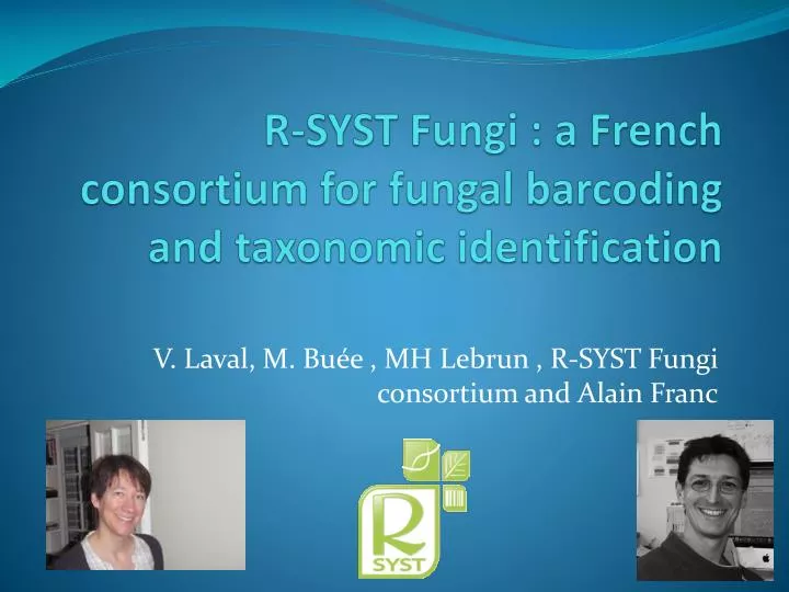 r syst fungi a french consortium for fungal barcoding and taxonomic identification