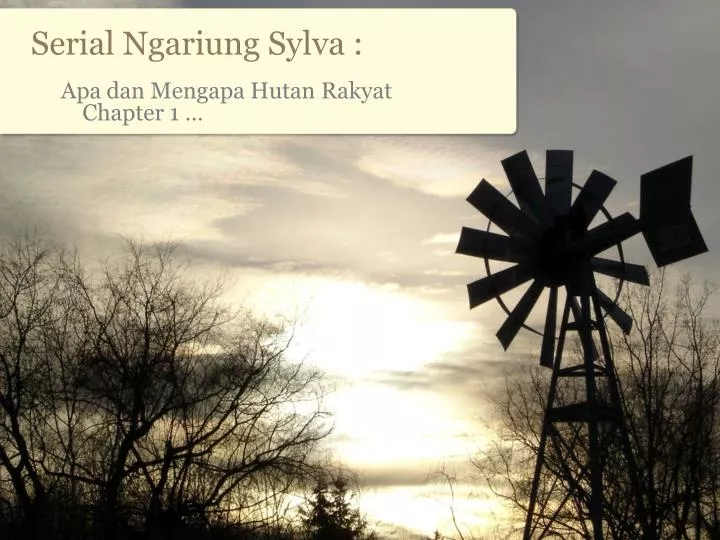 serial ngariung sylva