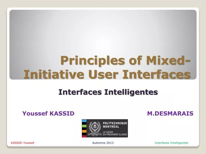 principles of mixed initiative user interfaces