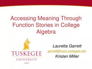 Accessing Meaning Through Function Stories in College A lgebra