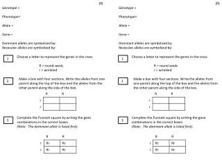 (R) Genotype = Phenotype= Allele = Gene = Dominant alleles are symbolized by: