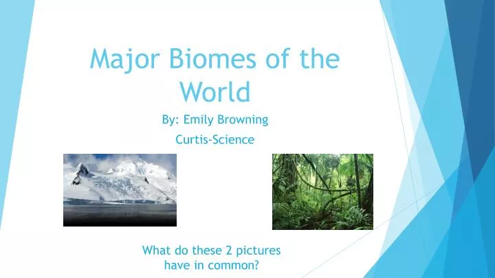 major biomes of the world
