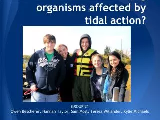 How are fouling organisms affected by tidal action?