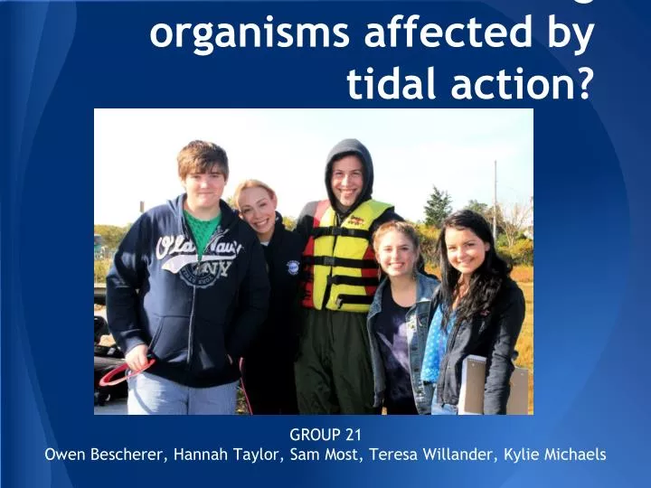 how are fouling organisms affected by tidal action
