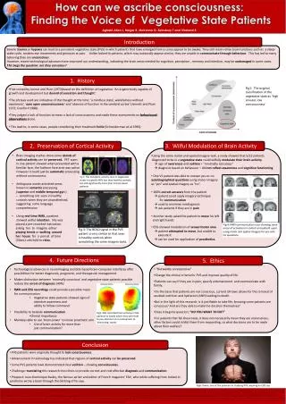 2. Preservation of Cortical Activity