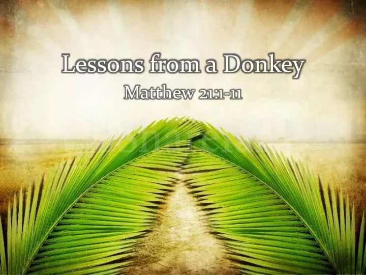 lessons from a donkey