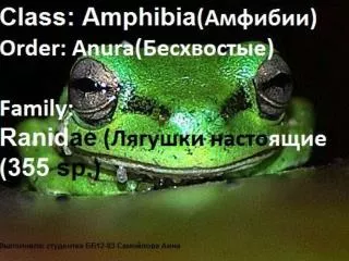 Выполнила: студентка ББ12-03Б Самойлова Анна