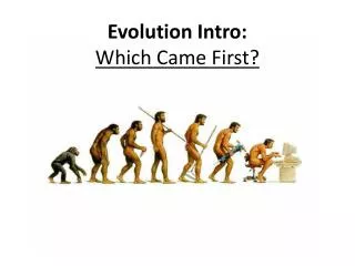 Evolution Intro: Which Came First?