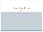 Crocodile River - slide 1