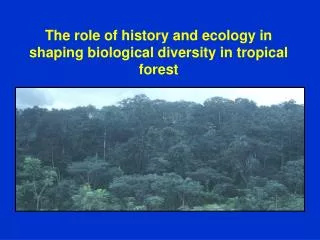 The role of history and ecology in shaping biological diversity in tropical forest