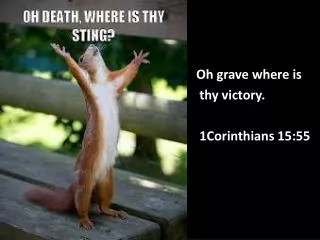 Oh grave where is thy victory. 1Corinthians 15:55