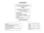 ORGANIGRAMA - slide 1