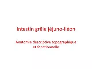intestin gr le j juno il on
