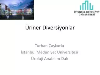 riner diversiyonlar