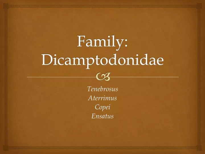 family dicamptodonidae