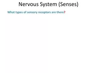 What types of sensory receptors are there ?